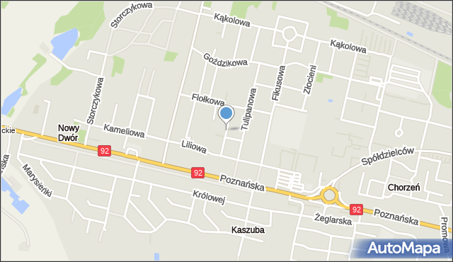 Konin, Lewkoniowa, mapa Konina