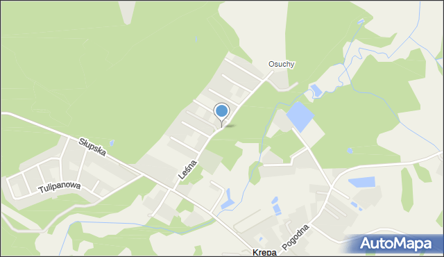 Krępa Słupska, Leśna, mapa Krępa Słupska