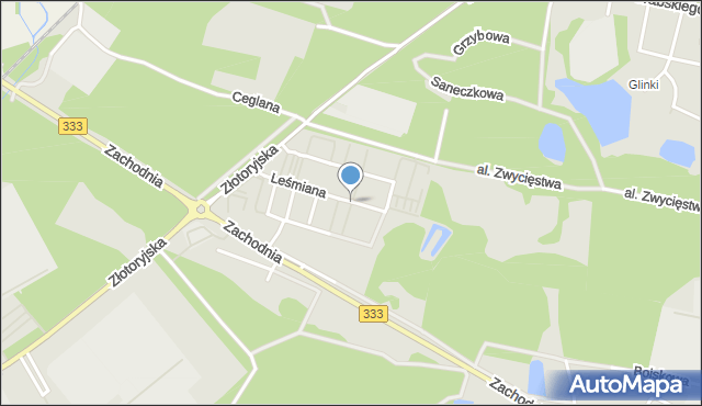 Legnica, Lechonia Jana, mapa Legnicy