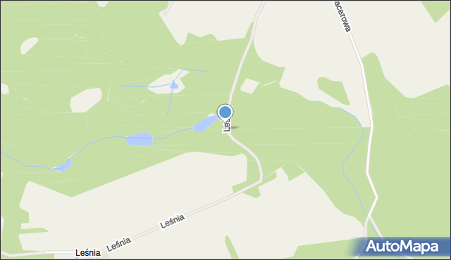 Leśnia, Leśnia, mapa Leśnia