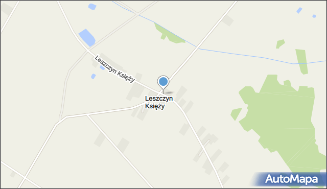 Leszczyn Księży, Leszczyn Księży, mapa Leszczyn Księży