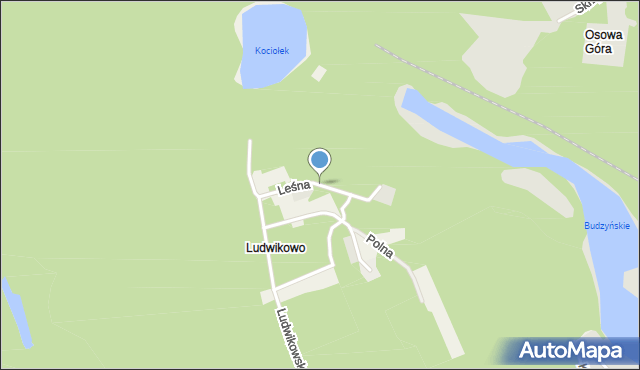 Ludwikowo gmina Mosina, Leśna, mapa Ludwikowo gmina Mosina