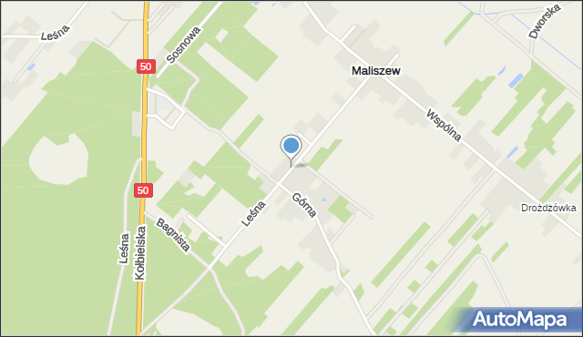 Maliszew gmina Mińsk Mazowiecki, Leśna, mapa Maliszew gmina Mińsk Mazowiecki