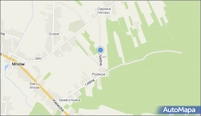 Mniów, Leśna, mapa Mniów