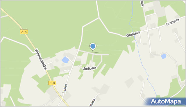 Nowy Dwór Wejherowski, Leszczynowa, mapa Nowy Dwór Wejherowski