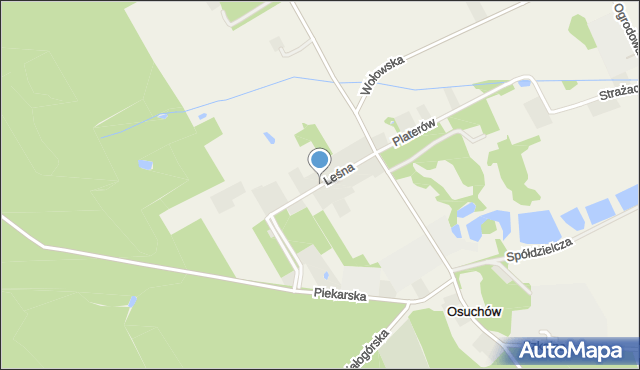 Osuchów gmina Mszczonów, Leśna, mapa Osuchów gmina Mszczonów