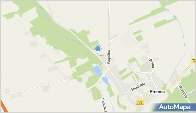 Promna, Leśna, mapa Promna