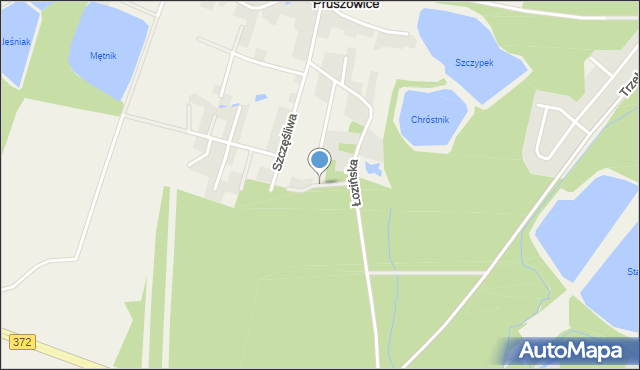 Pruszowice, Leśna, mapa Pruszowice