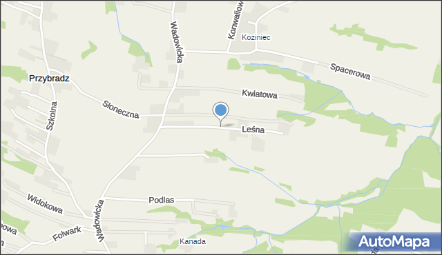 Przybradz, Leśna, mapa Przybradz