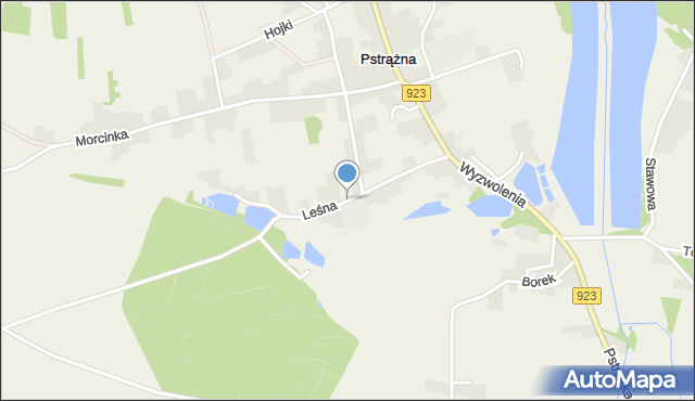 Pstrążna, Leśna, mapa Pstrążna