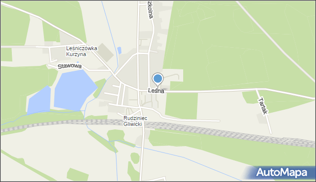 Rudziniec, Leśna, mapa Rudziniec