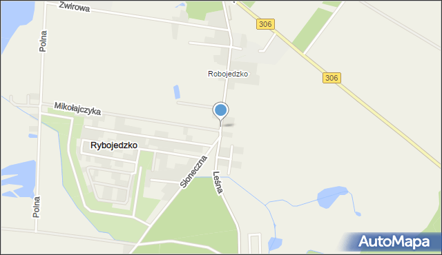 Rybojedzko gmina Stęszew, Leśna, mapa Rybojedzko gmina Stęszew