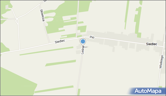Siedlec gmina Mstów, Leśna, mapa Siedlec gmina Mstów