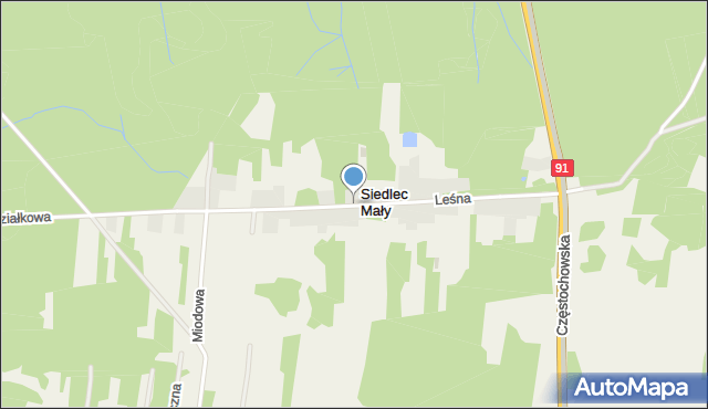 Siedlec Mały, Leśna, mapa Siedlec Mały