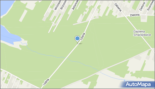 Smardzewice, Leśna, mapa Smardzewice