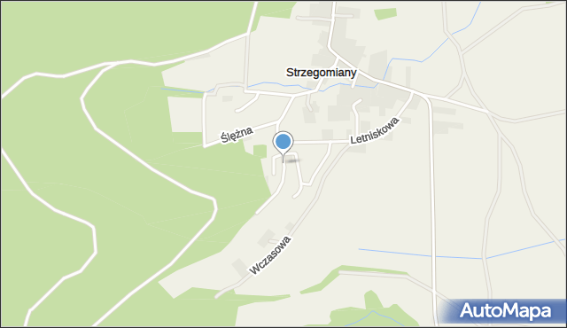 Strzegomiany, Leśna, mapa Strzegomiany