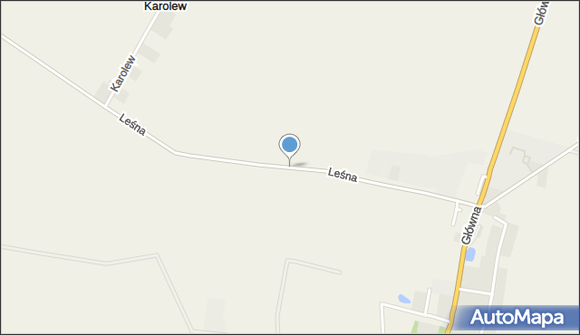 Strzelce powiat kutnowski, Leśna, mapa Strzelce powiat kutnowski