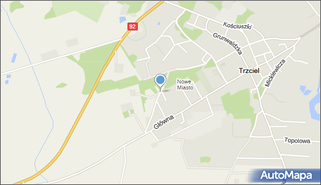 Trzciel powiat międzyrzecki, Leśna, mapa Trzciel powiat międzyrzecki