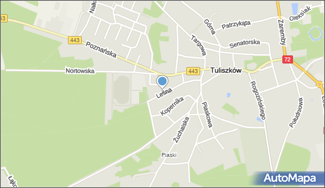 Tuliszków, Leśna, mapa Tuliszków