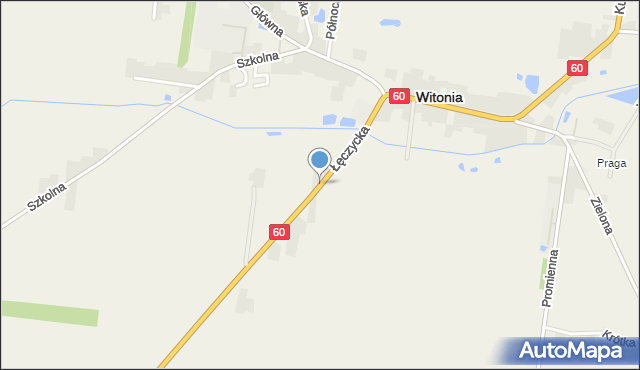 Witonia, Łęczycka, mapa Witonia