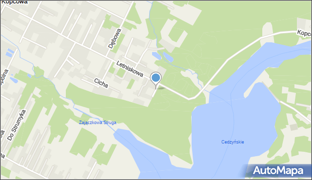 Leśna Wola Kopcowa, Ulica, 26001