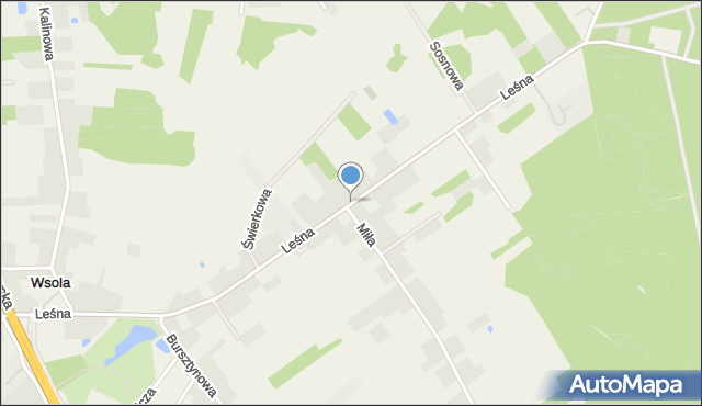 Wsola, Leśna, mapa Wsola