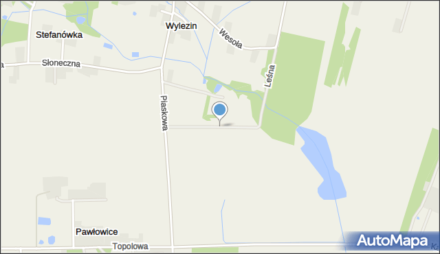 Wylezin gmina Tarczyn, Leśna, mapa Wylezin gmina Tarczyn