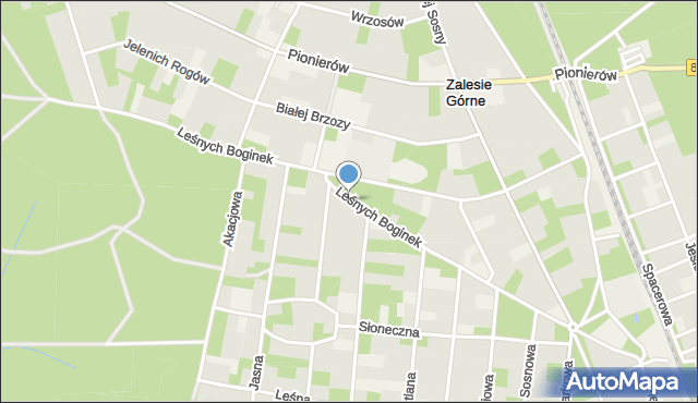 Zalesie Górne, Leśnych Boginek, mapa Zalesie Górne