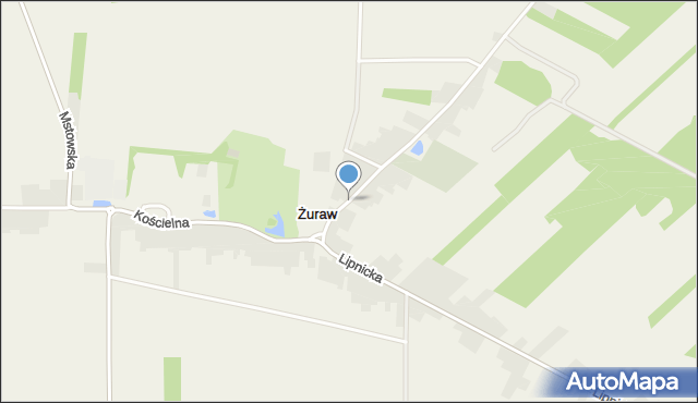 Żuraw gmina Janów, Leśna, mapa Żuraw gmina Janów