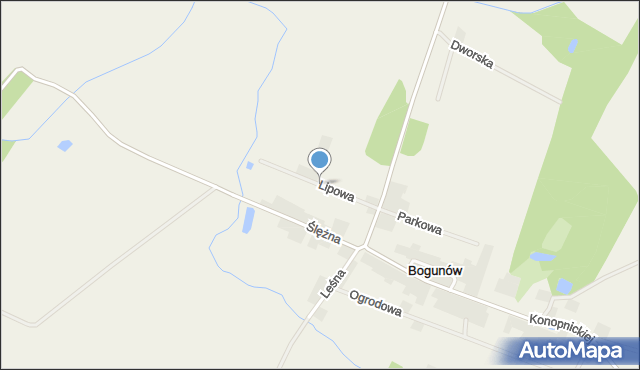 Bogunów, Lipowa, mapa Bogunów