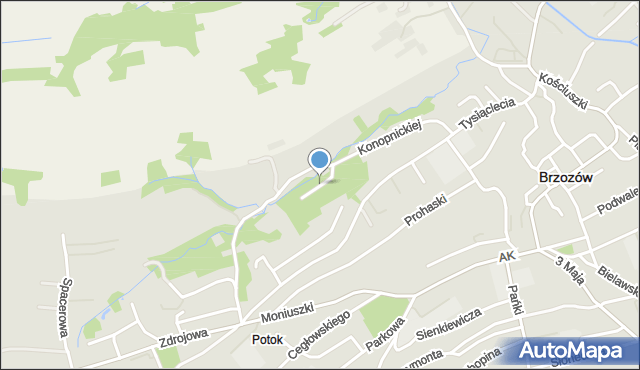 Brzozów, Lipowa, mapa Brzozów