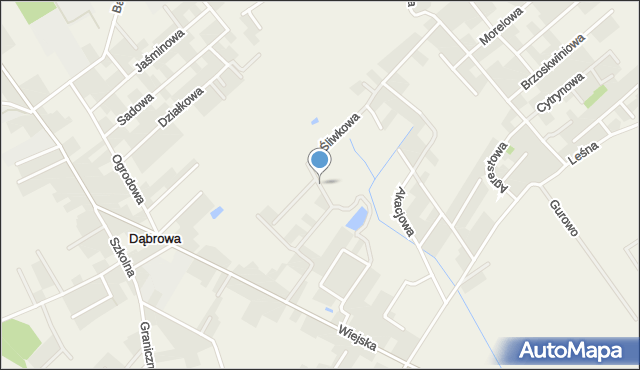 Dąbrowa gmina Dopiewo, Liliowa, mapa Dąbrowa gmina Dopiewo