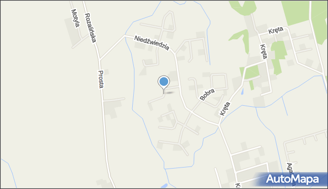 Jankowice gmina Tarnowo Podgórne, Lisa, mapa Jankowice gmina Tarnowo Podgórne