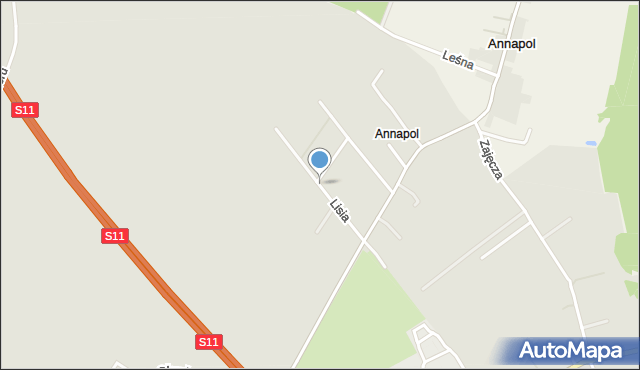 Jarocin, Lisia, mapa Jarocin