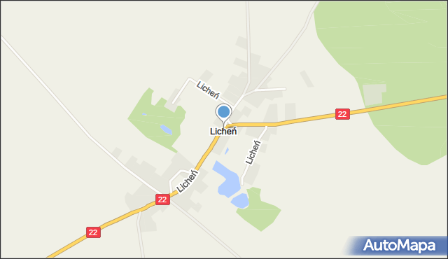 Licheń, Licheń, mapa Licheń