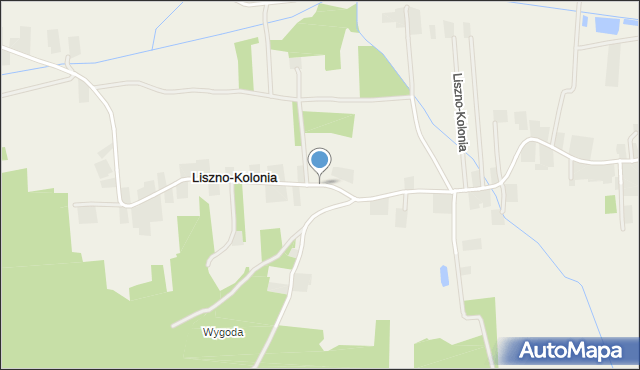 Liszno-Kolonia, Liszno-Kolonia, mapa Liszno-Kolonia