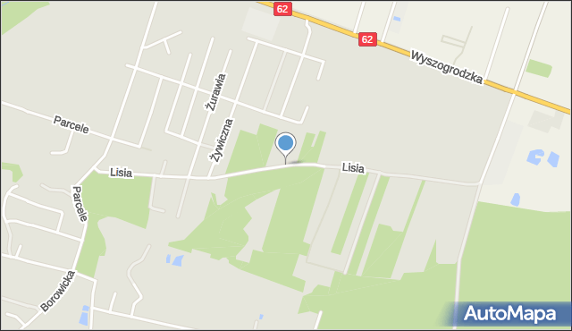 Płock, Lisia, mapa Płock