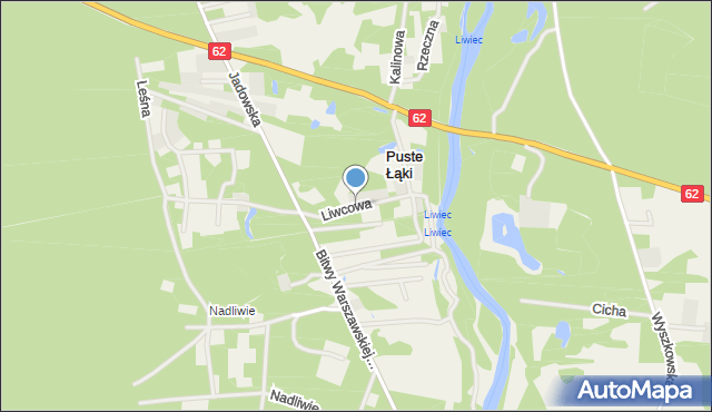 Puste Łąki, Liwcowa, mapa Puste Łąki