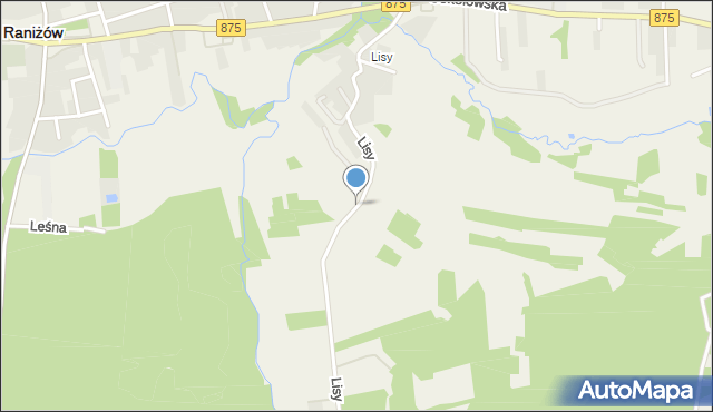 Raniżów, Lisy, mapa Raniżów