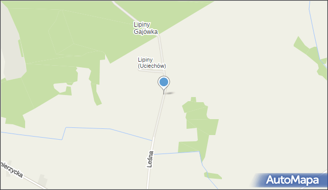 Uciechów gmina Odolanów, Lipiny (Uciechów), mapa Uciechów gmina Odolanów