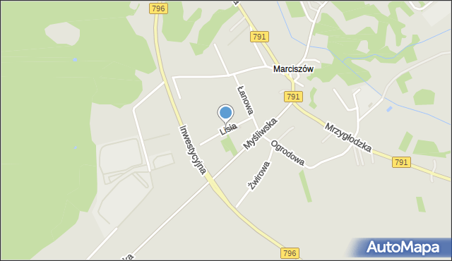 Zawiercie, Lisia, mapa Zawiercie