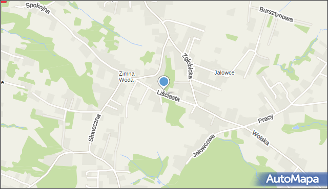 Zgłobice, Liściasta, mapa Zgłobice
