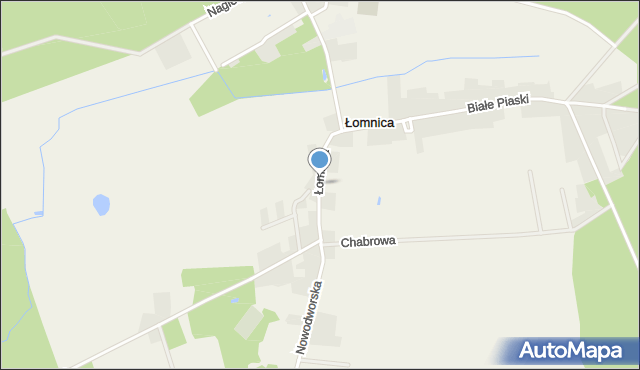 Łomnica gmina Zbąszyń, Łomnica, mapa Łomnica gmina Zbąszyń