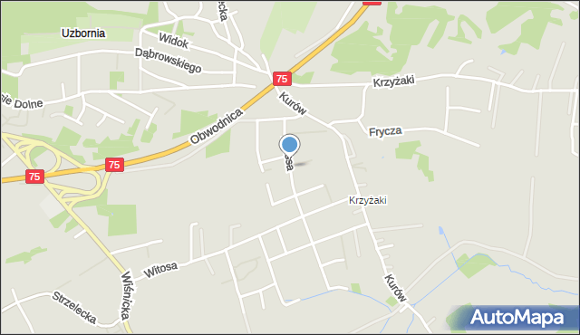 Bochnia, Maissa Ferdynanda, mapa Bochni