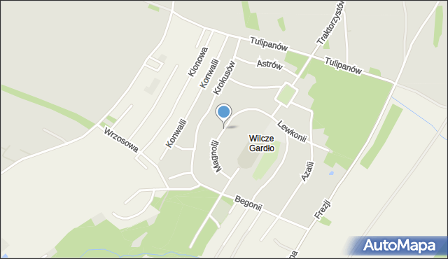 Gliwice, Magnolii, mapa Gliwic