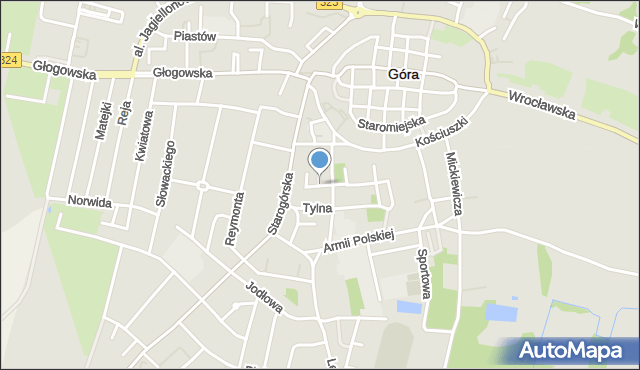 Góra, Madalińskiego Antoniego Józefa, gen., mapa Góra