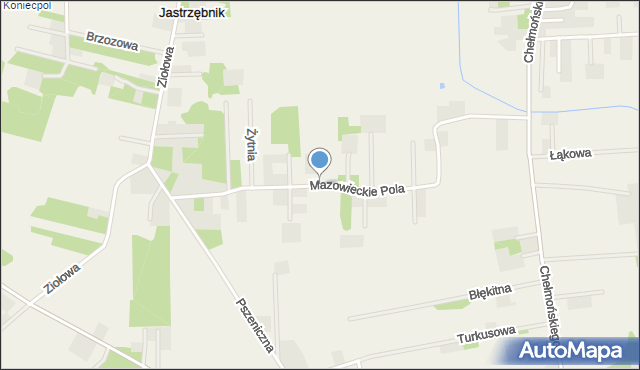 Jastrzębnik gmina Żabia Wola, Mazowieckie Pola, mapa Jastrzębnik gmina Żabia Wola