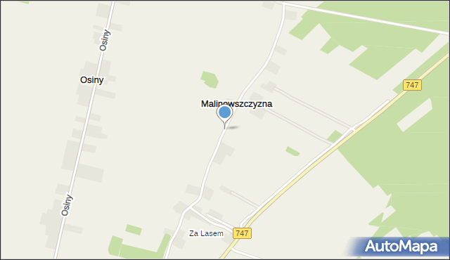 Malinowszczyzna gmina Bełżyce, Malinowszczyzna, mapa Malinowszczyzna gmina Bełżyce