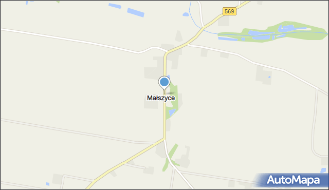 Małszyce gmina Ciechocin, Małszyce, mapa Małszyce gmina Ciechocin