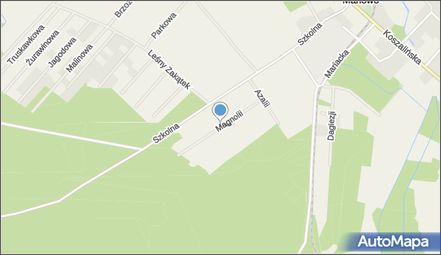 Manowo, Magnolii, mapa Manowo